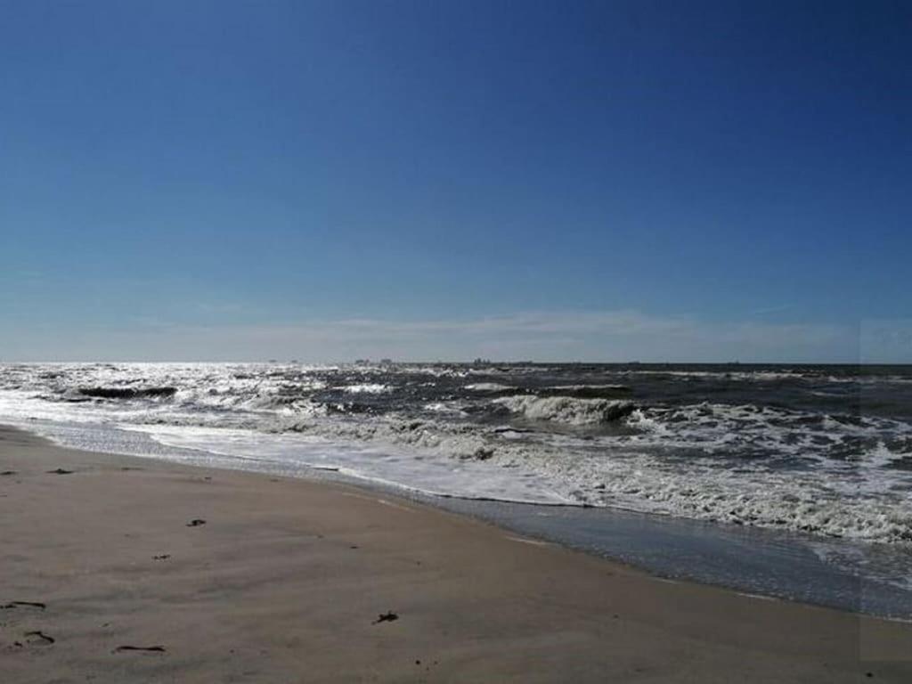 Bright Holiday Home In Noordwijk Near Sea Екстер'єр фото